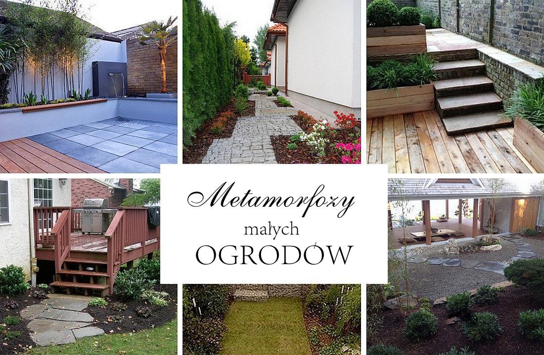 Metamorfozy małych ogrodów HAART